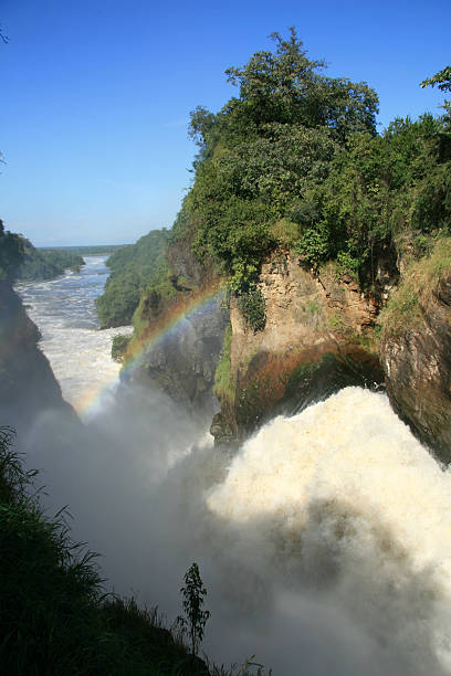 istock Murchison Falls National Park Safari Reserve in Uganda 636174746