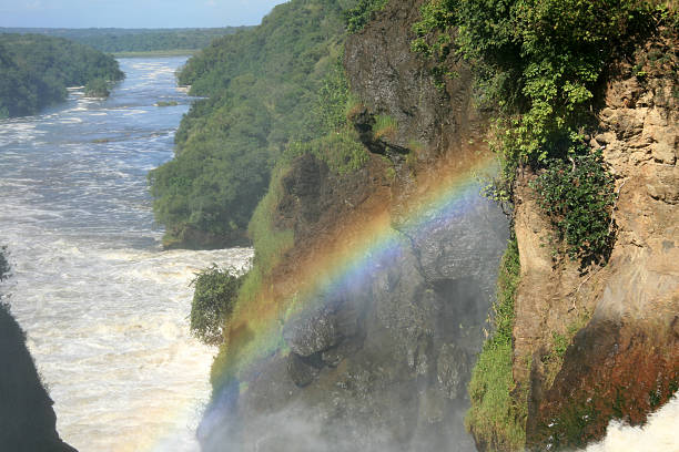 istock Murchison Falls National Park Safari Reserve in Uganda 636174758