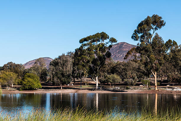 árboles del lago murray con cowles mountain en san diego - lake murray fotografías e imágenes de stock