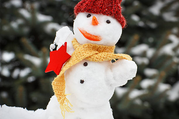 istock Decorated snowman with woolen scarf and cap 636178732