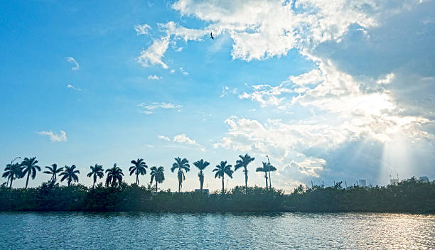 istock Miami Sun Through Clouds MacArthur Causeway Palm Trees Silhouette 636179878