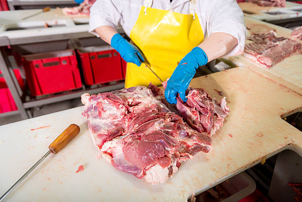 istock at a meat factory 636180866