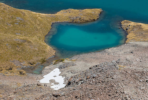 primo piano del lago angelus nel nelson lakes national park - lake angelus foto e immagini stock