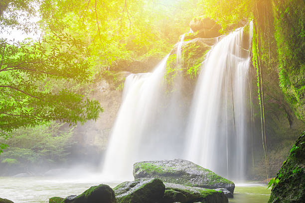 폭포12 - waterfall erawan tropical rainforest tree 뉴스 사진 이미지