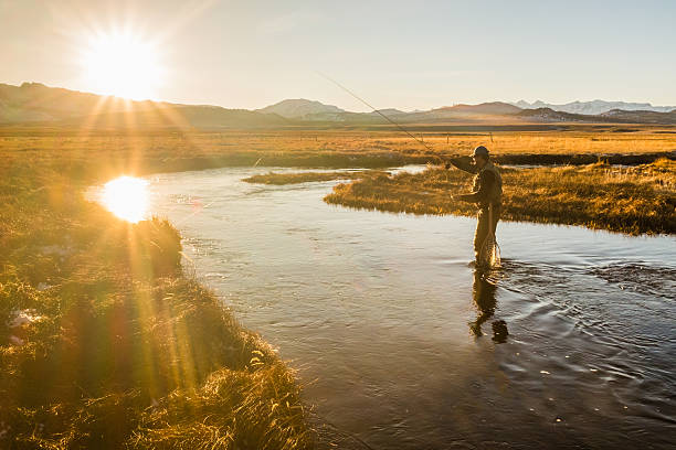 강 주조에 어부를 비행 - fly fishing 뉴스 사진 이미지