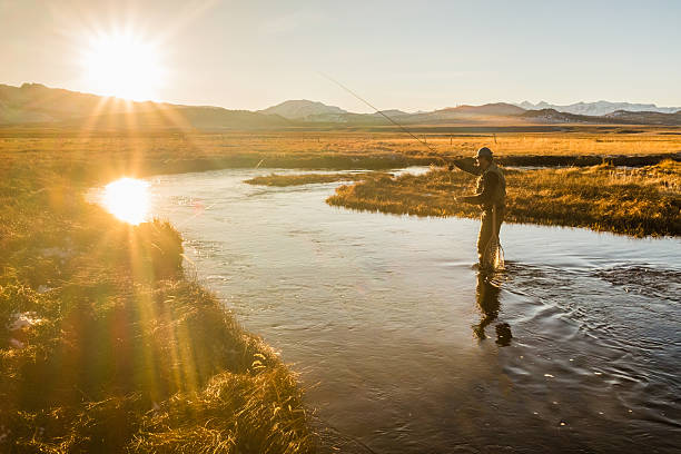 Fly Fisherman On The River Casting Fly Fisherman On The River Casting fly fishing stock pictures, royalty-free photos & images