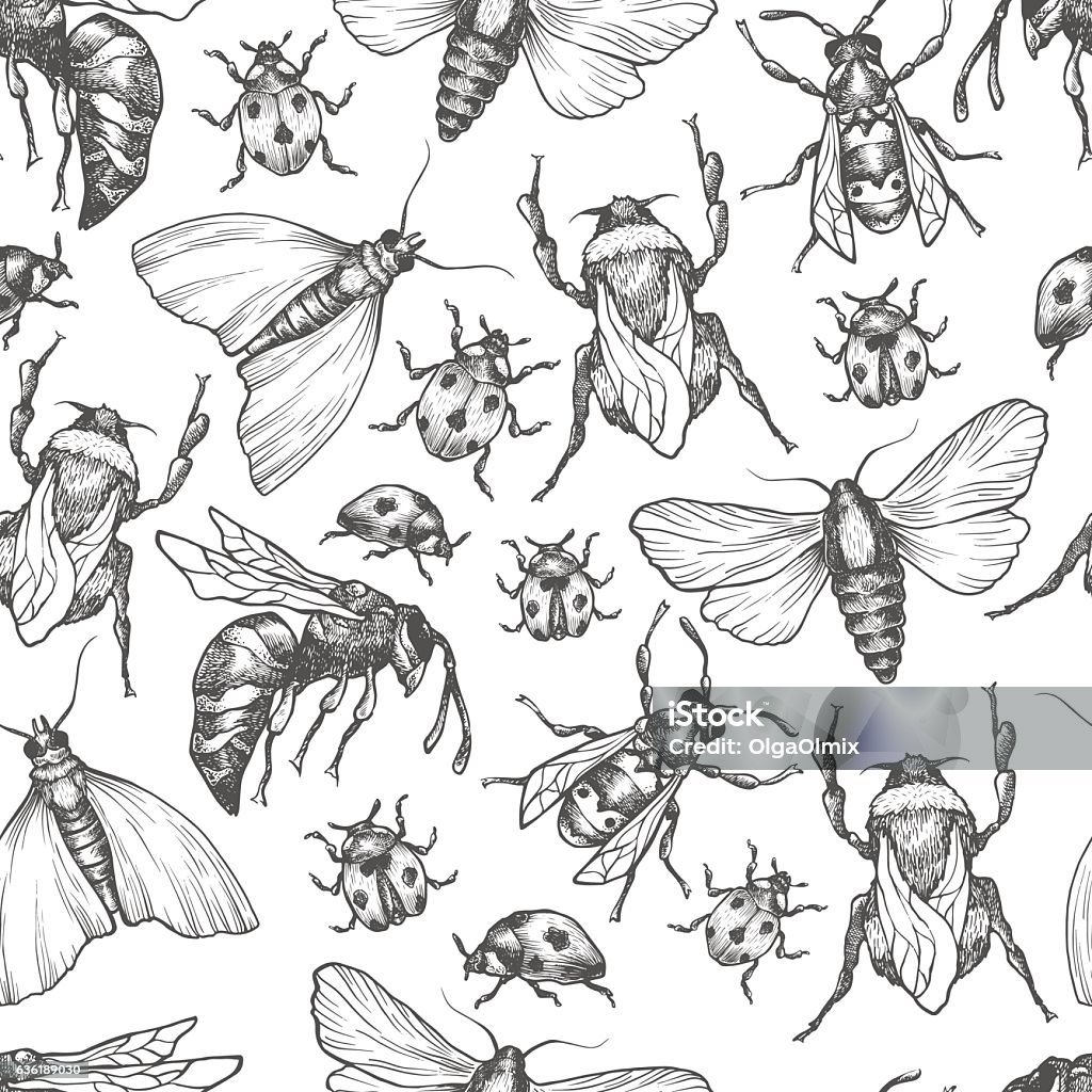 Motif vectoriel dessiné à la main avec des insectes dans différentes poses. - clipart vectoriel de Insecte libre de droits