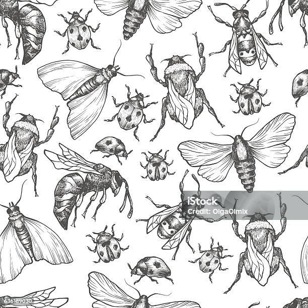 Motif Vectoriel Dessiné À La Main Avec Des Insectes Dans Différentes Poses Vecteurs libres de droits et plus d'images vectorielles de Insecte