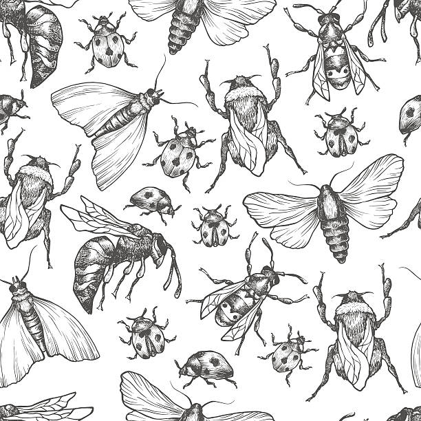 Hand drawn vector pattern with insects in different poses. Hand drawn vector pattern with insects in different poses. Moth, butterfly, bee, bumblebee, ladybug. Vector collection. Detailed realistic sketches. Ink, pen, linework. lady bug stock illustrations