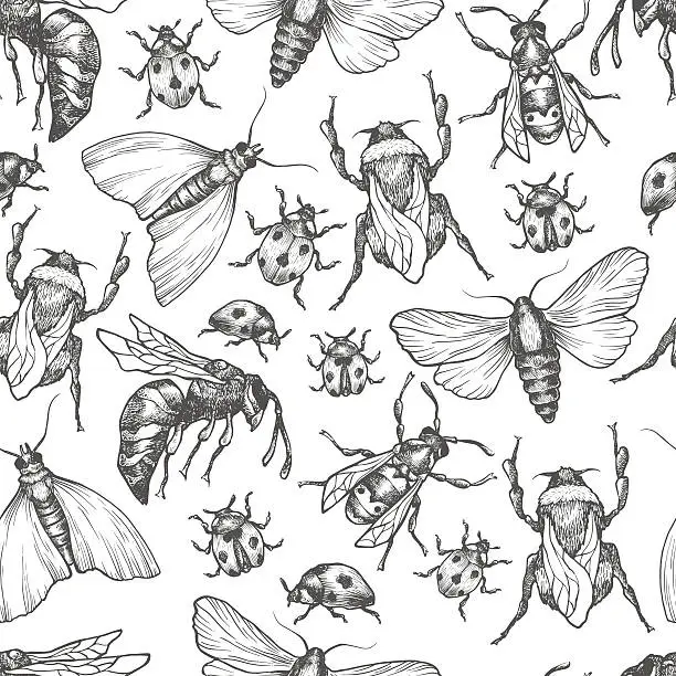 Vector illustration of Hand drawn vector pattern with insects in different poses.