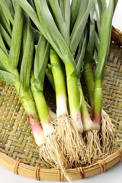 istock young green garlic leaves 636189494