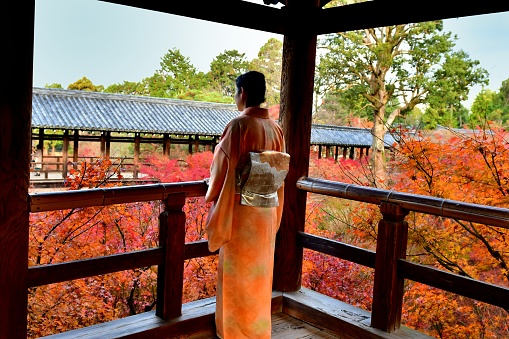 A Japanese woman in kimono is enjoying autumn foliage from Hojo (Abbot’ Hall) of Tofuku-ji Temple in Kyoto, Japan. 