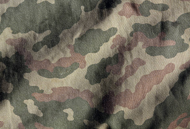 superficie de tela de color de camuflaje. - pattern hide beige textured fotografías e imágenes de stock