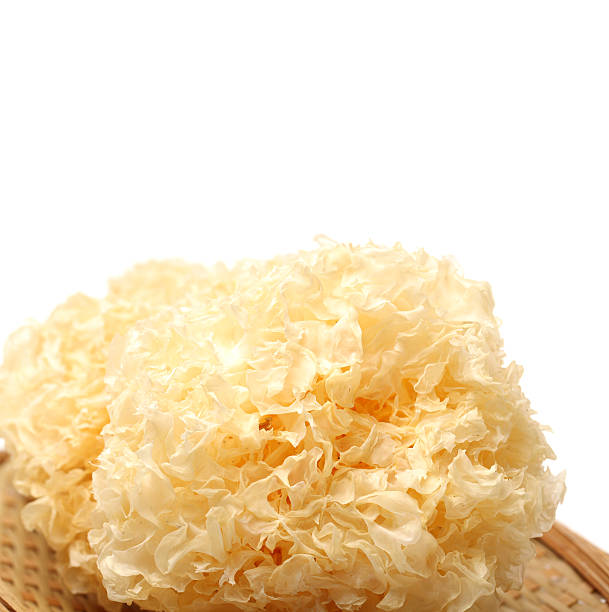 istock Tremella fuciformis,tremella 636195300