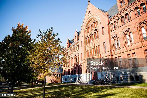 Afternoon In The University Stock Photo - Download Image Now - Campus, University, Building Exterior