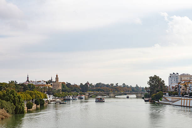 istock Cityscape of Sevilla 636200756
