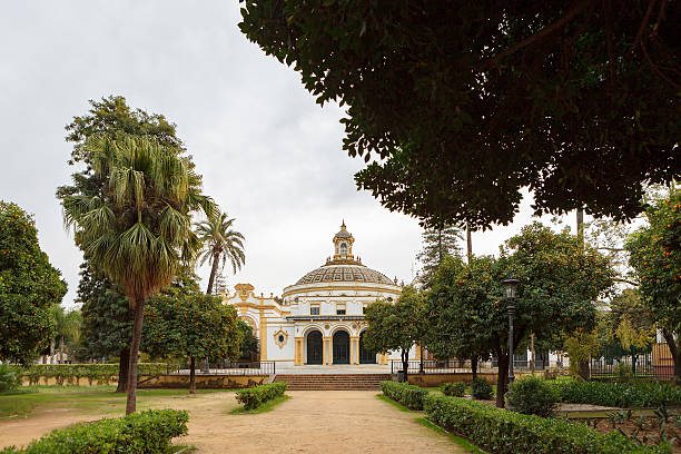 istock Pavilion in the Plaza America 636201476