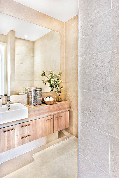 istock Entrance to a modern bathroom including a big mirror 636203734