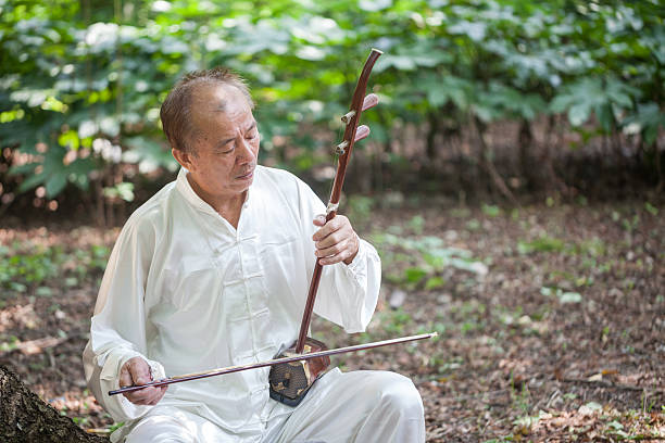 old man playing chinese traditional erhu - erhu imagens e fotografias de stock