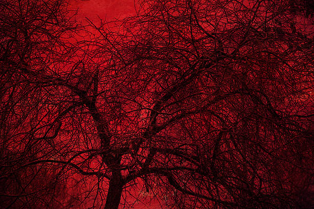 istock Art Photo mystical tree on a red background 636204412
