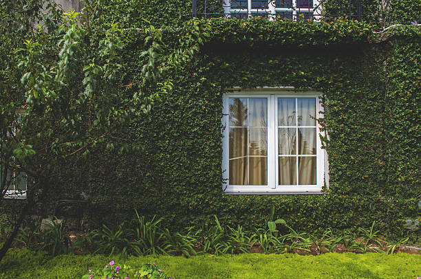 English cottage in greenery stock photo
