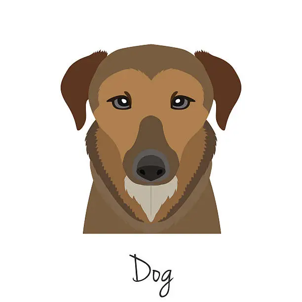 Vector illustration of vector brown dog head isolated. Flat style, cartoon object