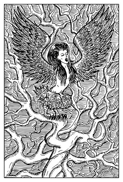 Harpy sitting on tree Harpy. Woman with bird wings on tree branch. Fantasy magic creatures collection. Hand drawn vector illustration. Engraved line art drawing, graphic mythical doodle. Template for card game, poster harpy eagle stock illustrations