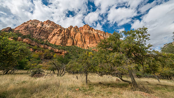istock The rays of the sun illuminate the canyon. 636209204