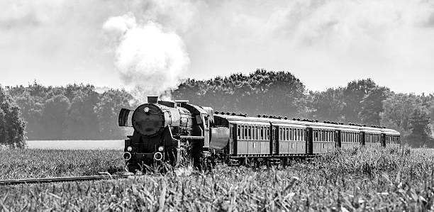Steam locomotive with passenger railway cars Old steam train pulling railway cars driving through the countryside in the middle of corn fields. Black and white image with a classic look. road going steam engine stock pictures, royalty-free photos & images