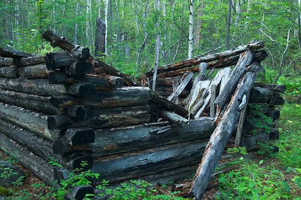 istock Destroyed house from bar in the larch forest 636212900