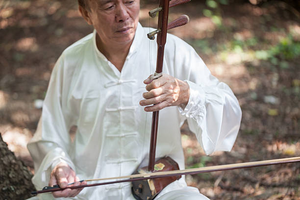 old man playing chinese traditional erhu - erhu imagens e fotografias de stock