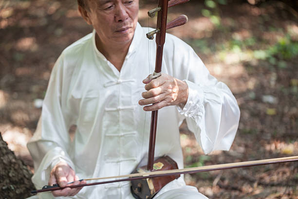 velho jogando chinês tradicional erhu - erhu - fotografias e filmes do acervo