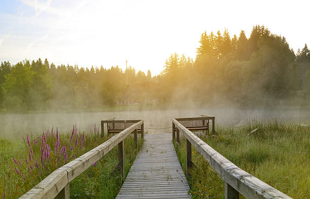 istock wooden pier on lake in Germany 636215080