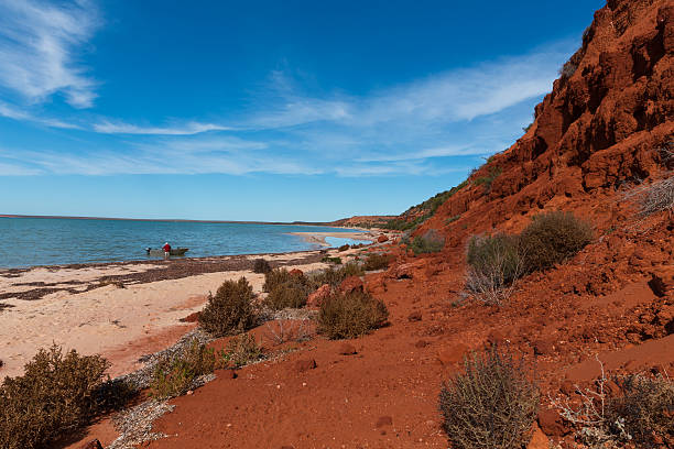 istock Red Bluff at Monkey Mia Shark Bay World Heritage Area 636215228