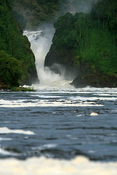 istock Murchison Falls National Park Safari Reserve in Uganda 636215490