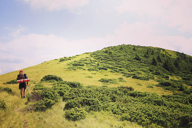 istock Man tourist walking the mountains with a backpack. 636218684