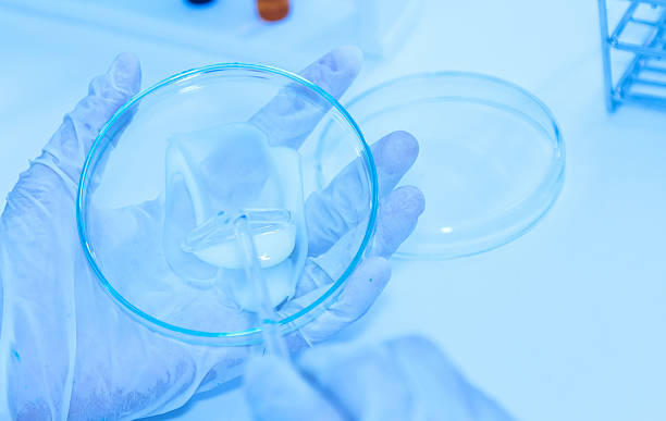 istock Scientist with equipment laboratory for science concept and sele 636224034
