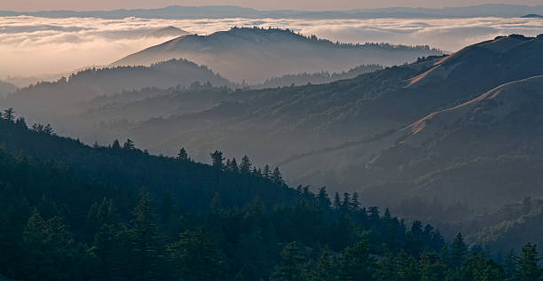 istock Bolinas Ridge, Calfiornia 636225196