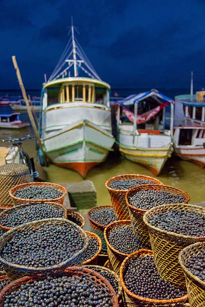 istock Acai Market in Belem City 636225948