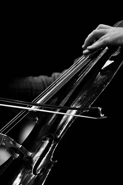 Photo of The bow on the strings of the cello