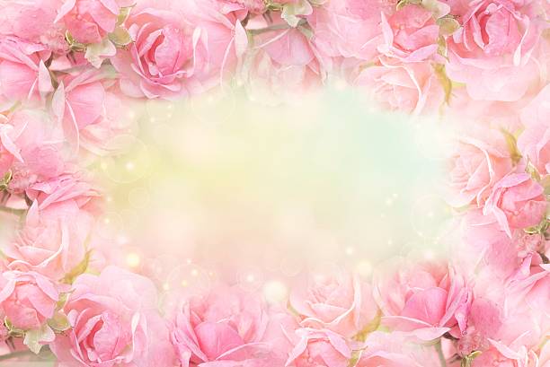 istock sweet pink rose flower frame on soft bokeh vintage background 636228564