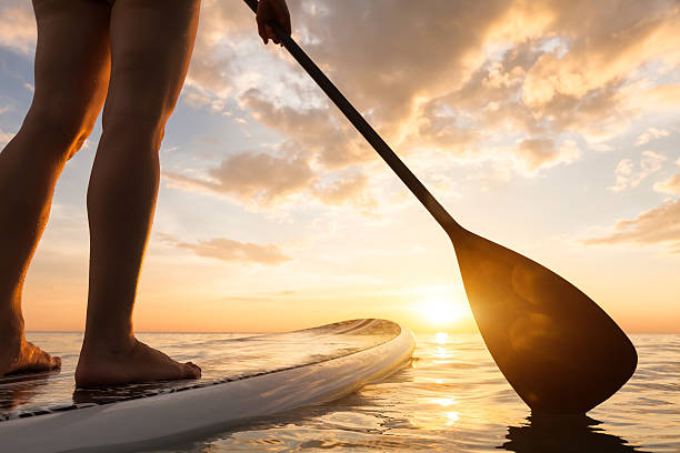 stand up paddle boarding auf ruhigem meer, beine nahaufnahme, sonnenuntergang - paddelbrett stock-fotos und bilder