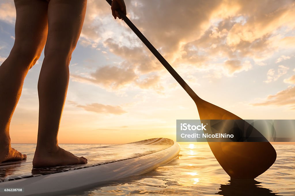 Stand up paddle boarding sur mer tranquille, jambes en gros plan, coucher de soleil - Photo de Paddle surfing libre de droits