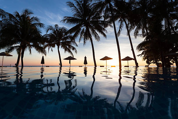 istock Palm trees and reflection in swimming pool, beach hotel, sunset 636228888