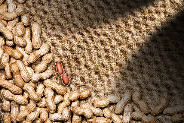 amendoins na tela marrom - nobody food canvas peanut - fotografias e filmes do acervo
