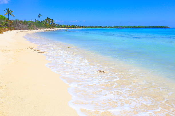 istock Tropical paradise: yatch, turquoise sand beach, palm trees, blue sky 636232884