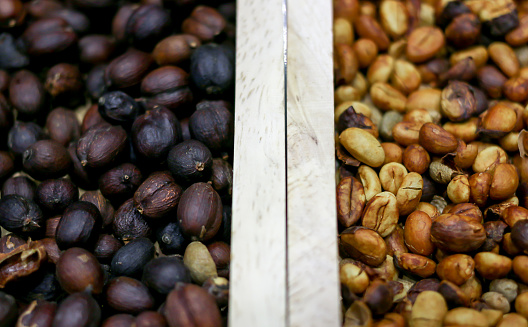 Several varieties of fresh roasted coffee beans