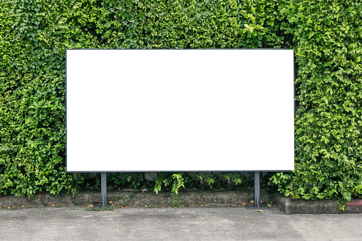 White billboard mockup on spring summer green leaves background.