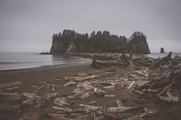istock La Push Beach, Pacific coast, Washington USA 636235344