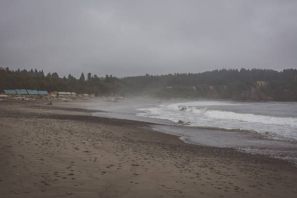 La Push Beach, Pacific coast, Washington USA